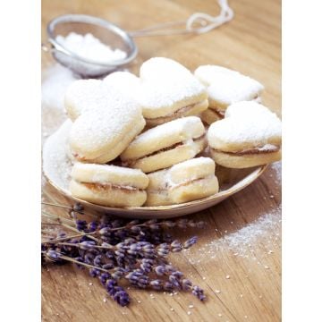 Lavender Smooth Fragrance Oil +