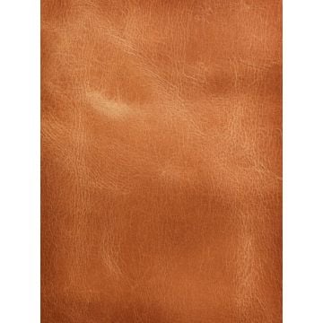 Leather Fragrance Oil