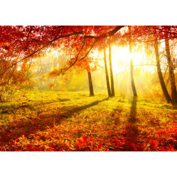 Leaves Type Fragrance Oil