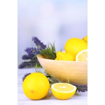 Lemon Lavender Fragrance Oil-1 oz. sample bottle