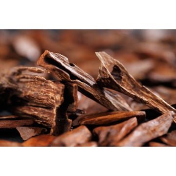 Mahogany Sandalwood Fragrance Oil