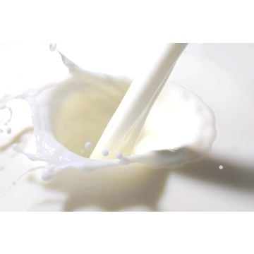 Milk Fragrance Oil