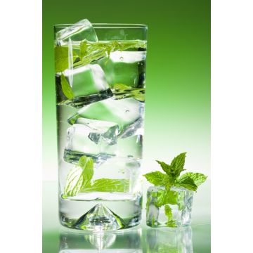 Mint Fragrance Sampler Set: 10 - 1 oz. bottles. One each of: Chocolate Mint, Eucalyptus Mint, Jack Frost, Peppermint, Peppermint Cream, Peppermint Stick, Peppermint Sugar, Rosemary & Mint, Spearmint, Wintergreen