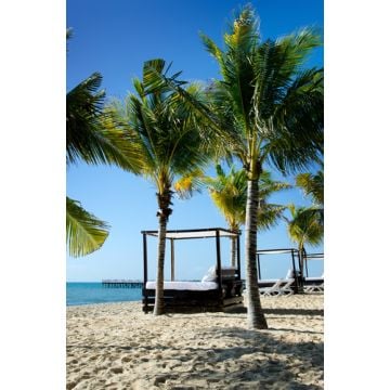 Oceanside Type Fragrance Oil