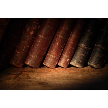 Old Books Fragrance Oil 