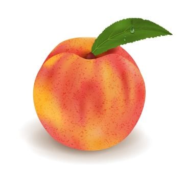 Peach Skin Fragrance Oil
