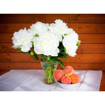 Peaches & Peonies Fragrance Oil