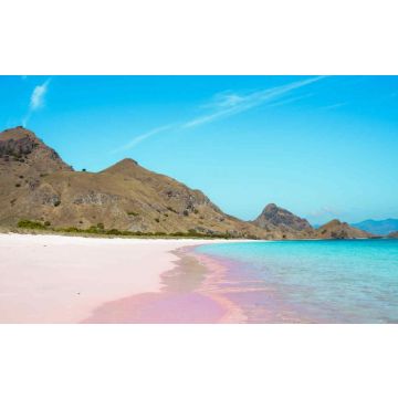 Pink Sands Type Fragrance Oil