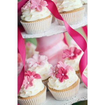 Pink Sugar Fragrance Oil