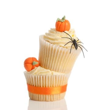Pumpkin Cupcake Fragrance Oil