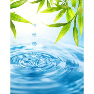 Rainkissed Leaves Type Fragrance Oil