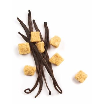 Rich Baking Vanilla Fragrance Oil-1 oz. sample bottle