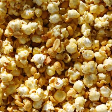 Salted Caramel Corn Fragrance-1 oz. sample bottle