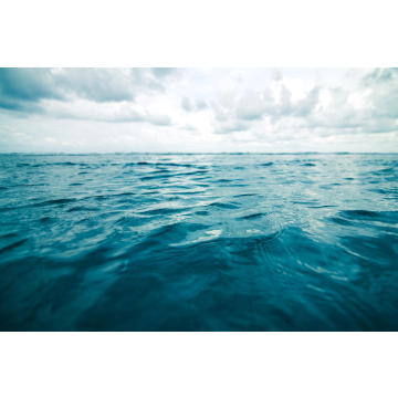 South Pacific Waters Fragrance Oil