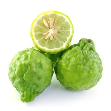 Special Bergamot: 16 oz. Bottle
