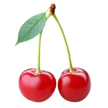 Special Cherry: 16 oz. Bottle