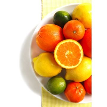Special Citrus: 16 oz. Bottle