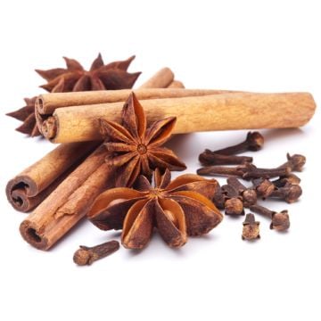 Spiced Cinnamon Fragrance Oil-1 oz. sample bottle