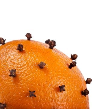 Spiced Mandarin Fragrance Oil