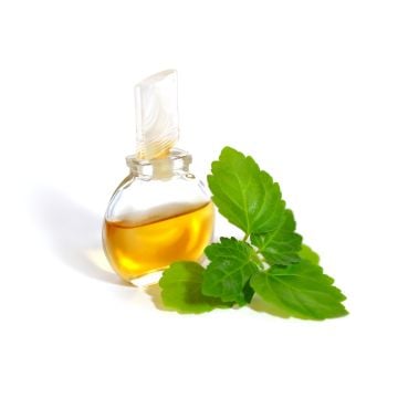 Spiced Pumpkin and Patchouli Fragrance Oil