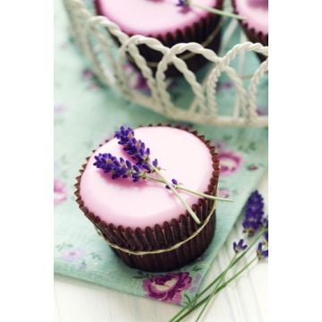 Sweet Lavender Fragrance Oil