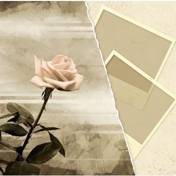 Treasured Memories Fragrance Oil