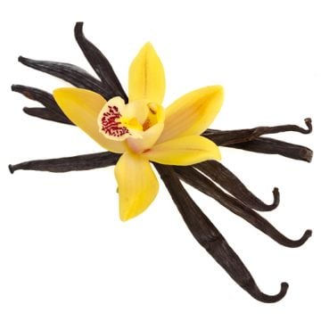 Vanilla Fragrance Sampler Set: 10 - 1 oz. bottles. One each of:  Cherry Vanilla, Country Vanilla, Grapefruit Vanilla, Orange Vanilla, Tobacco Vanilla, Vanilla & Fresh Berries, Vanilla Bean, Vanilla Bourbon, Vanilla Coffee, Vanilla Rum Cake
