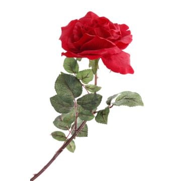 Victorian Rose Fragrance Oil