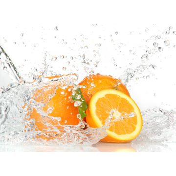 White Citrus Fragrance Oil