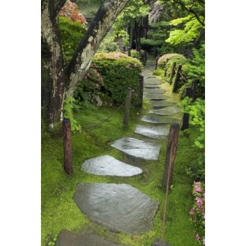 Zen Garden Fragrance Oil